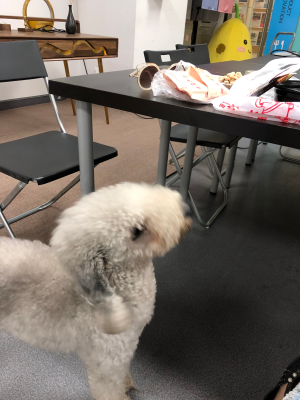 传媒
