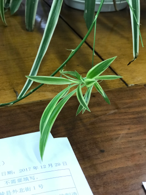 水电