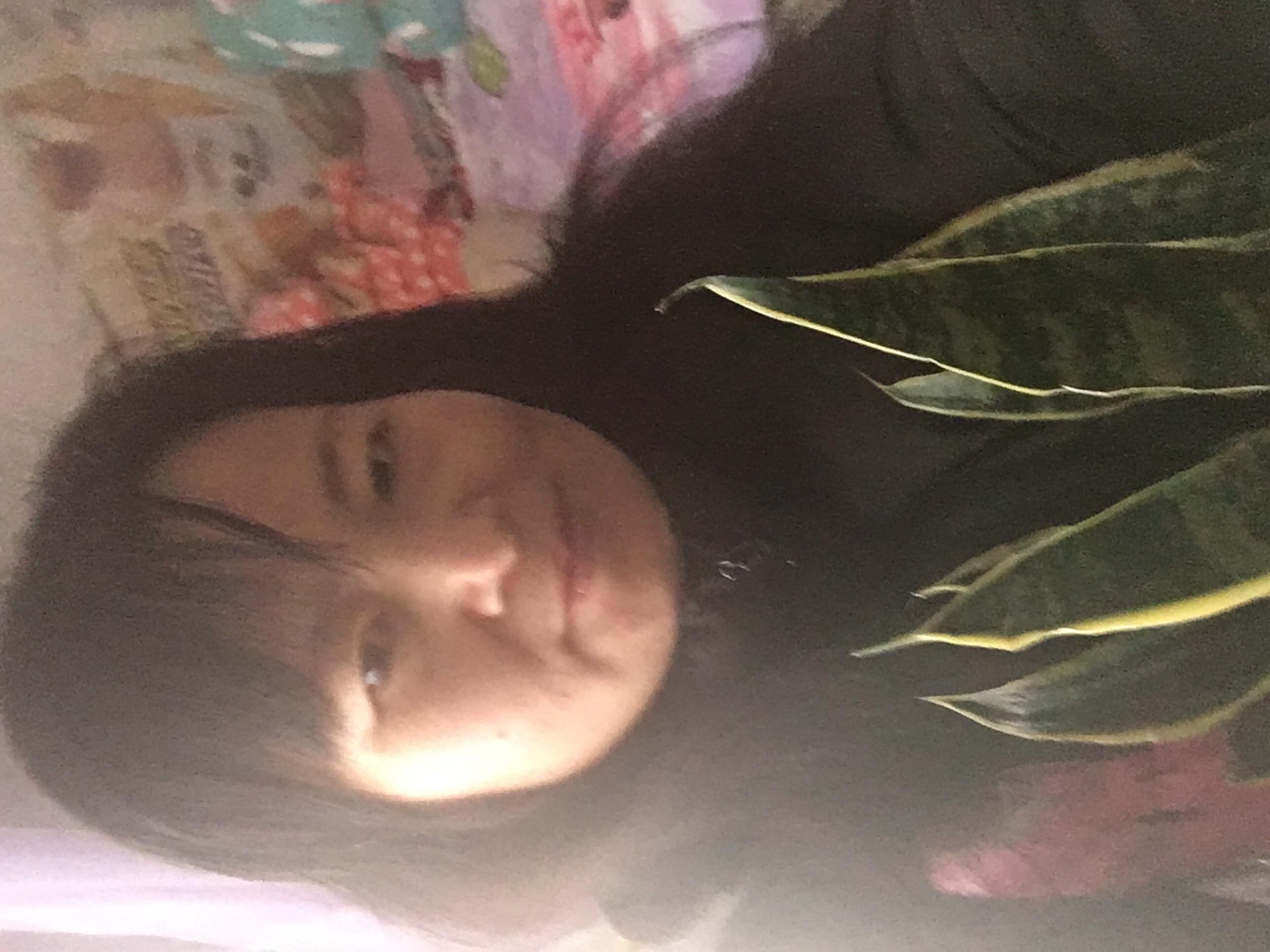 家政服务平台