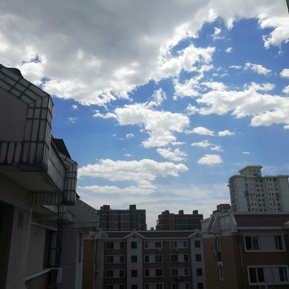 政府部门