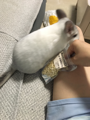 家具安装