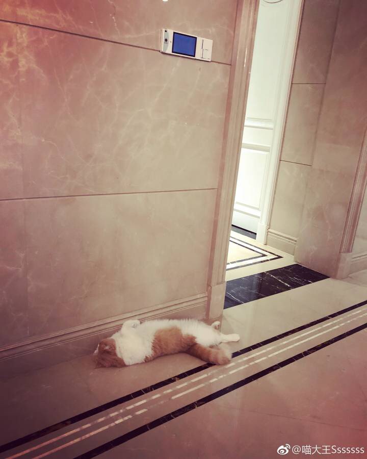 安装雨棚