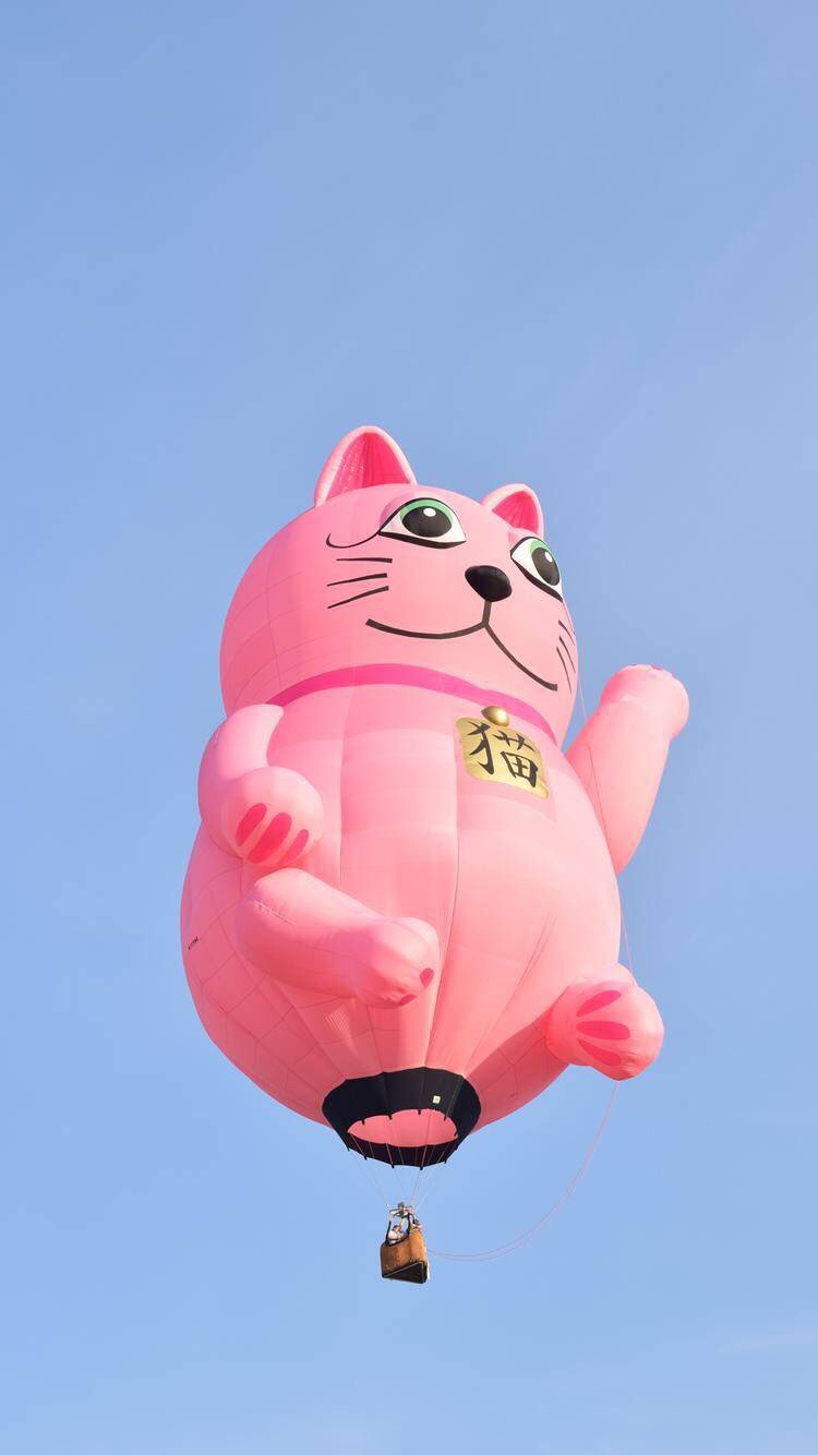 护士