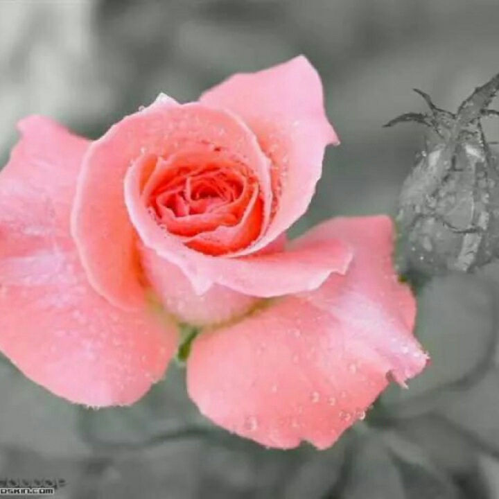 油工本人专业装修