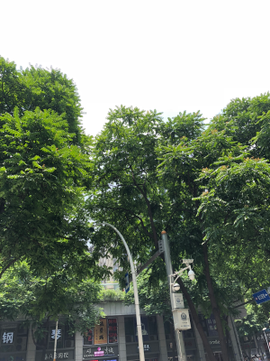 通信运维支撑
