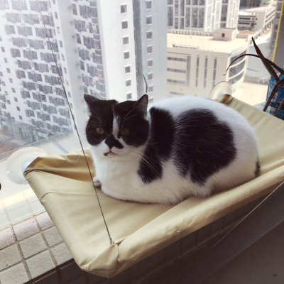 智能家居