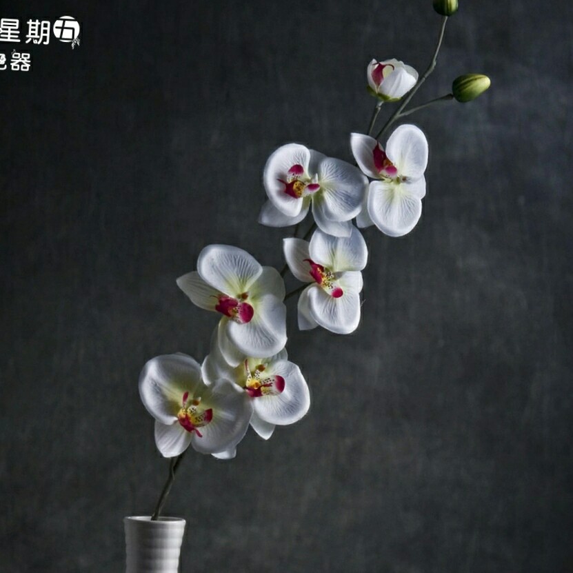 清洗服服务管洁净