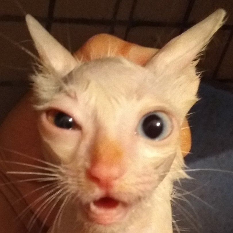 特种门