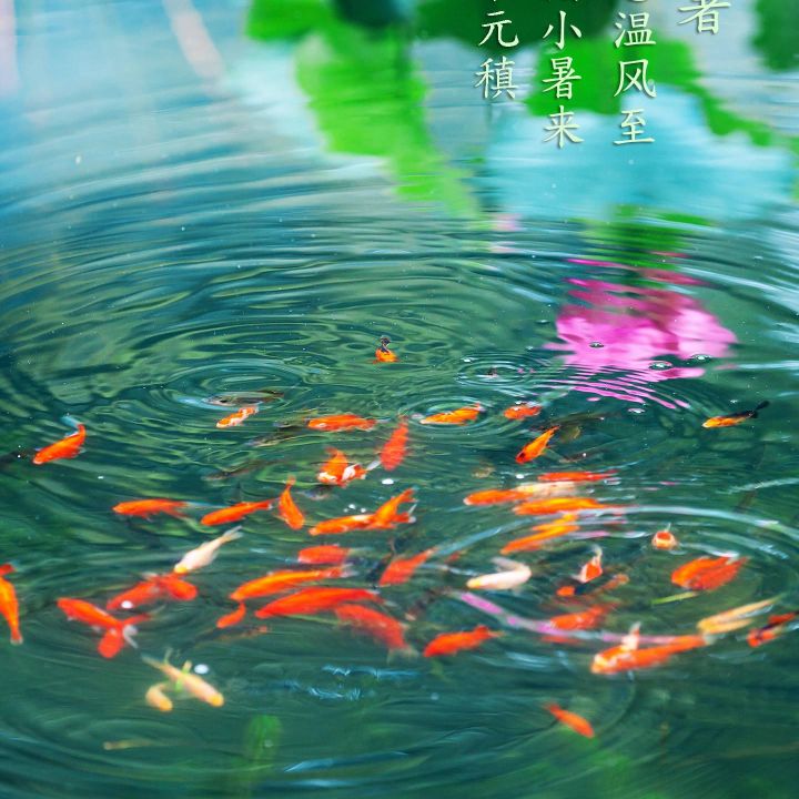 水电瓦木油漆
