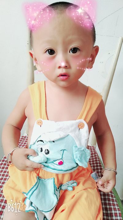 运输运输安装