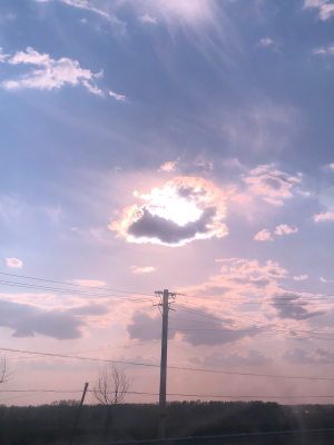 整木设计