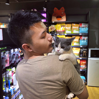 网线