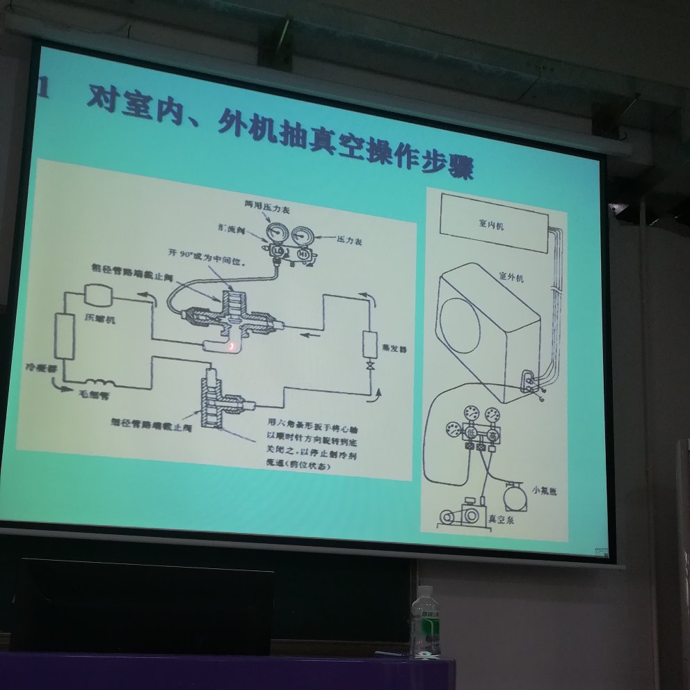 运动