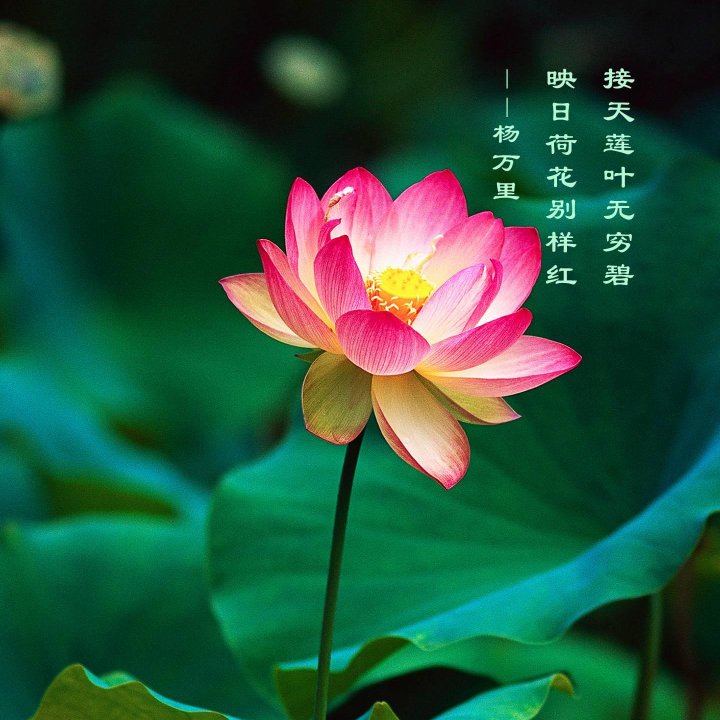 专业空调维修，