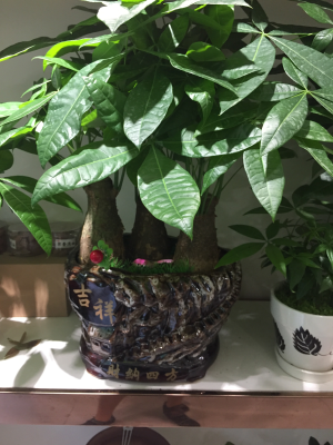 电器家具厨卫灯具安装维修