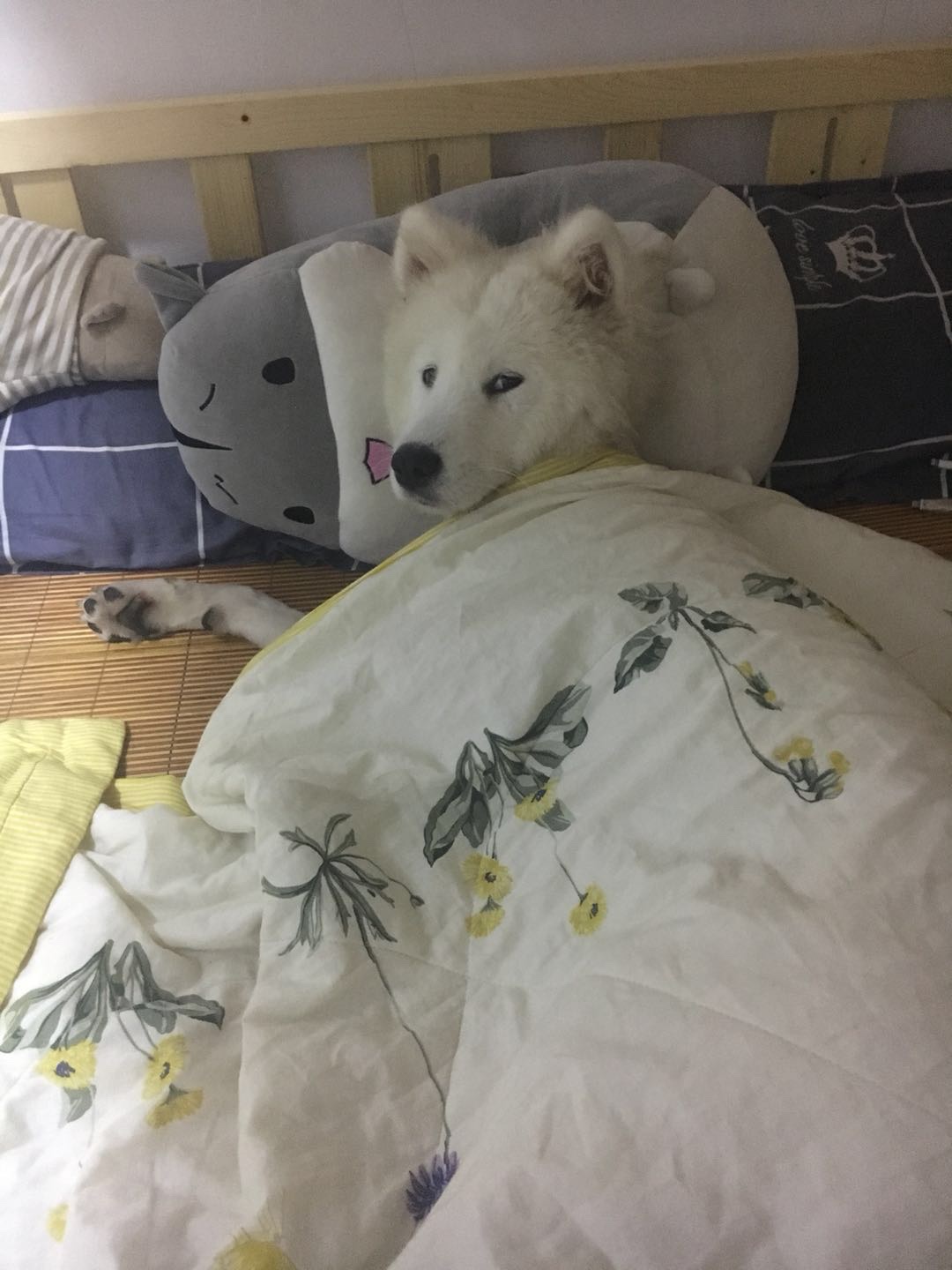 没有