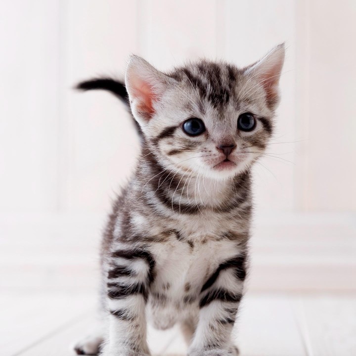 吊顶开孔木门集成吊顶墙面专业开孔防盗门木门装