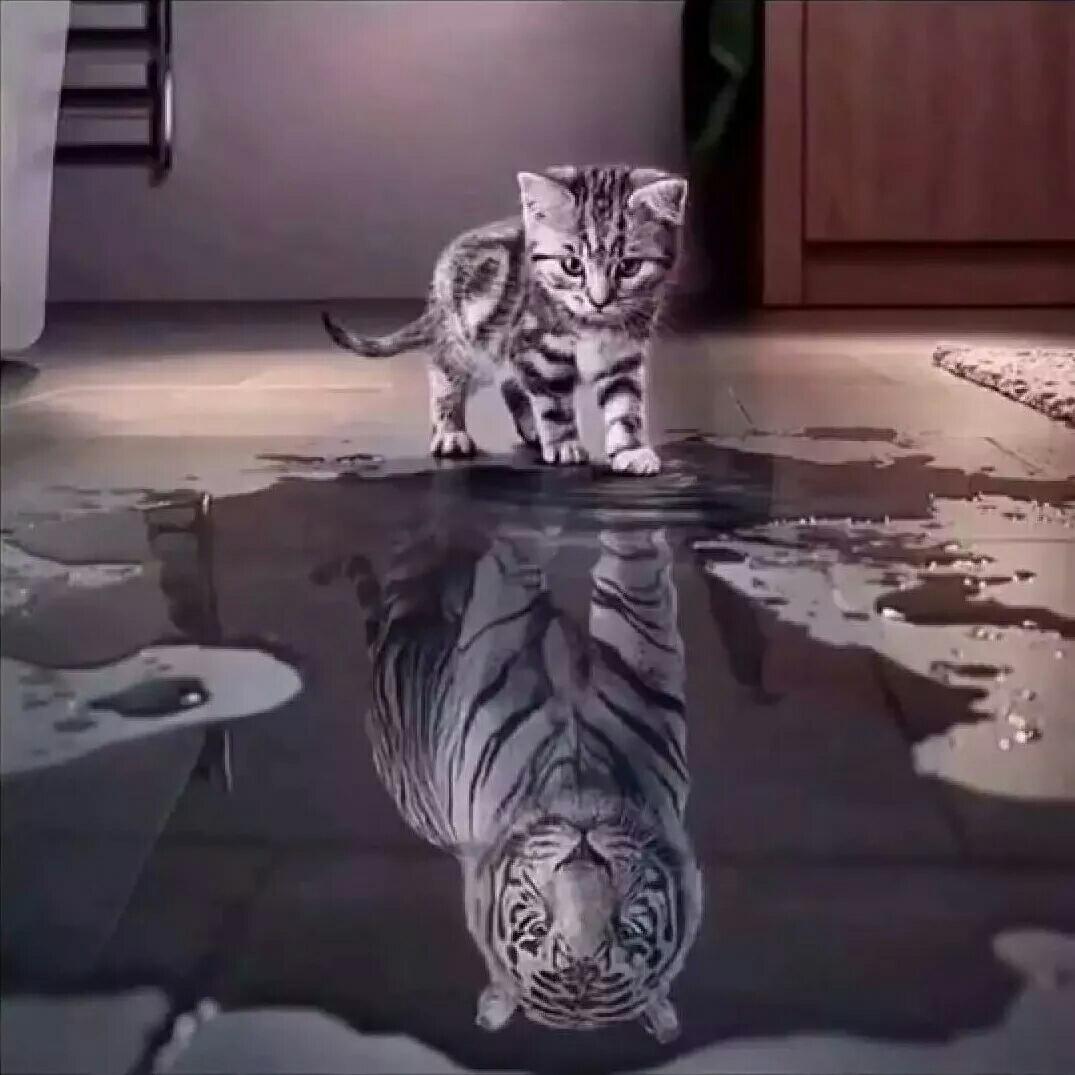 家具组装维修家具组装维修家具