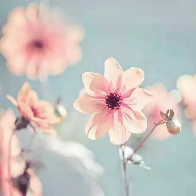 水电工水电卫浴灯具