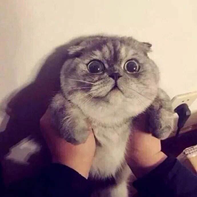 换锁扣