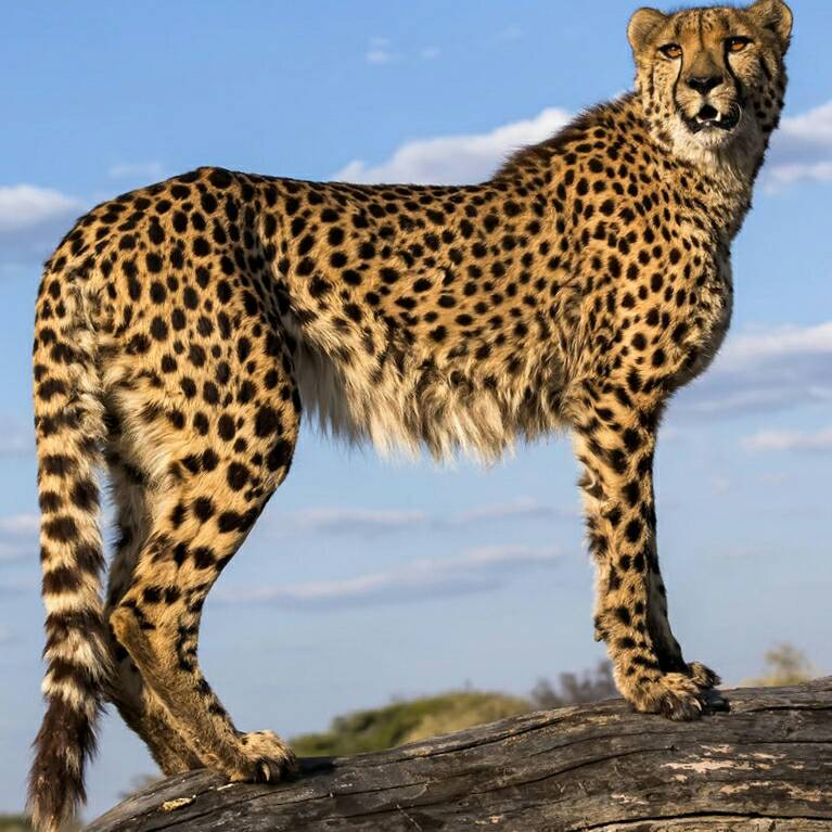 安装木门三亚木门安装木门安装木门安装