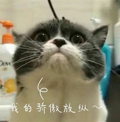 装饰公司整形医院装饰公司
