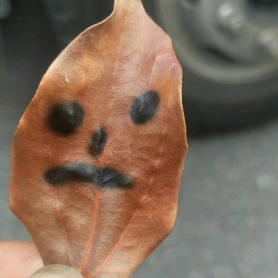 家具安装家具安装