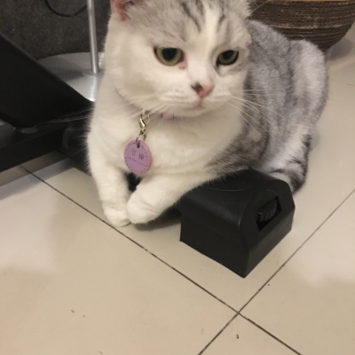 医疗