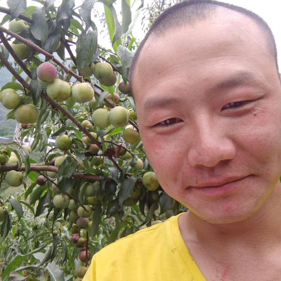 水电