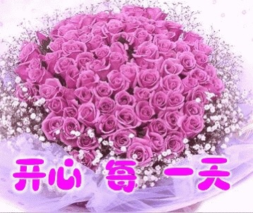 安装灯