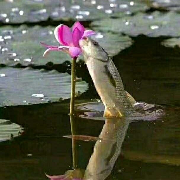 门类安装师傅专业门类安装