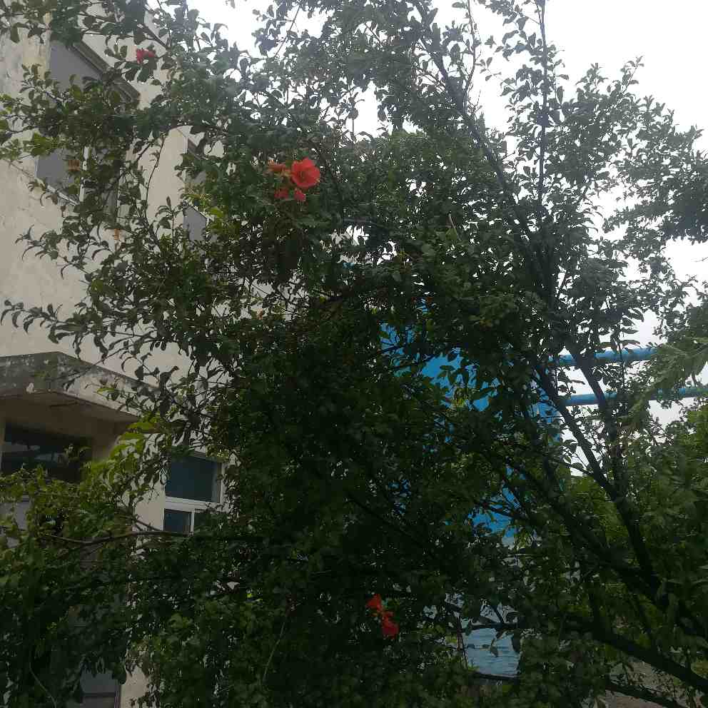 维修安装维修安装