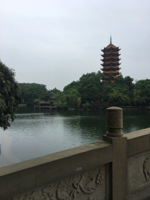 金融