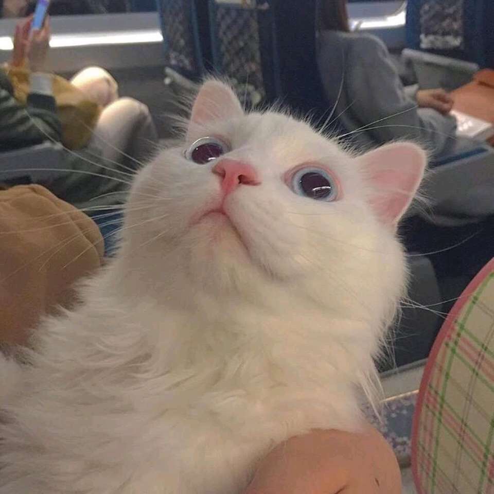 电工