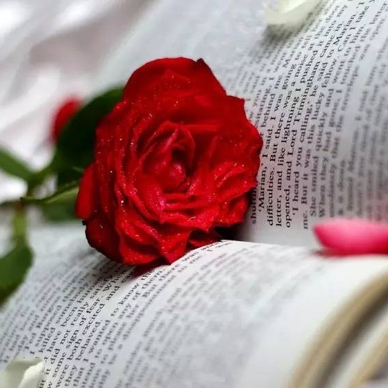 汽车装具汽车贴膜