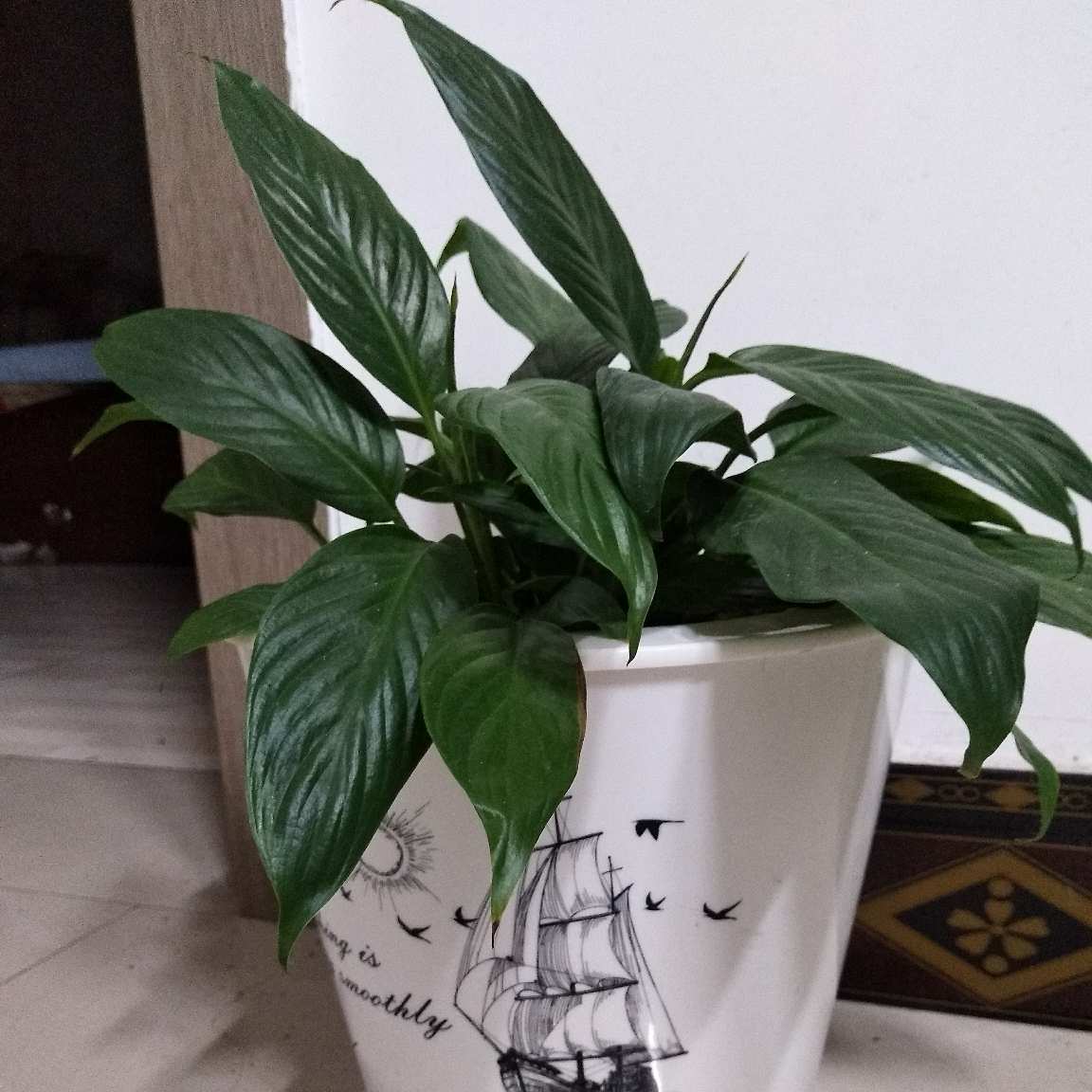 洁具净水器