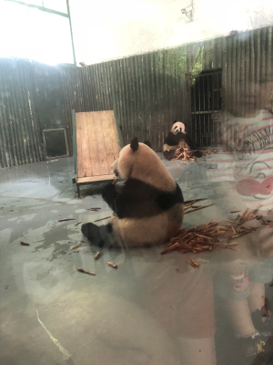 各种