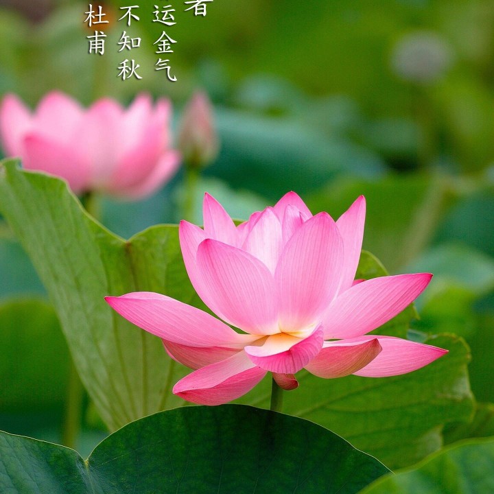 家具维修家具维修师傅家具配送家具安装