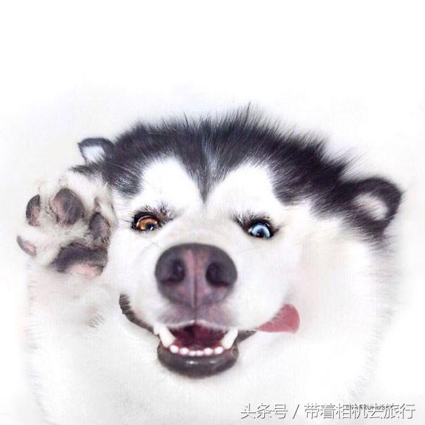 安装