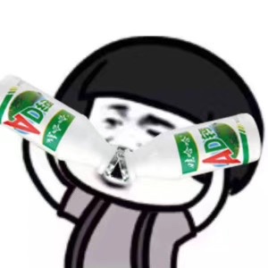 水泥砂石砖