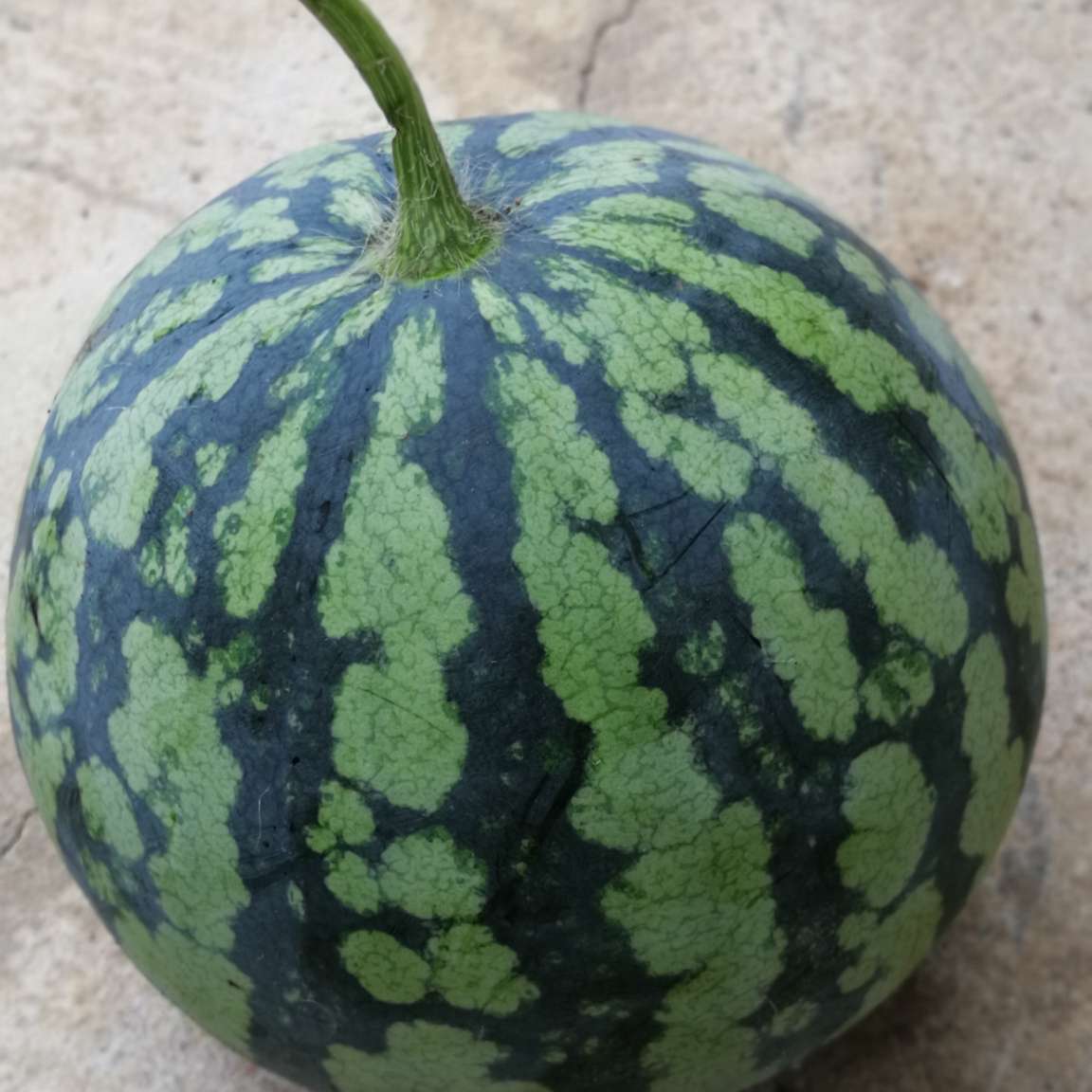 管理