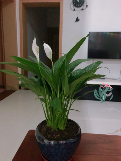 木工水电装修装修木工水电