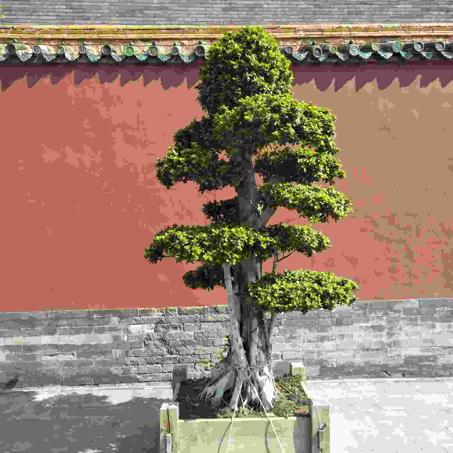 壁纸壁纸
