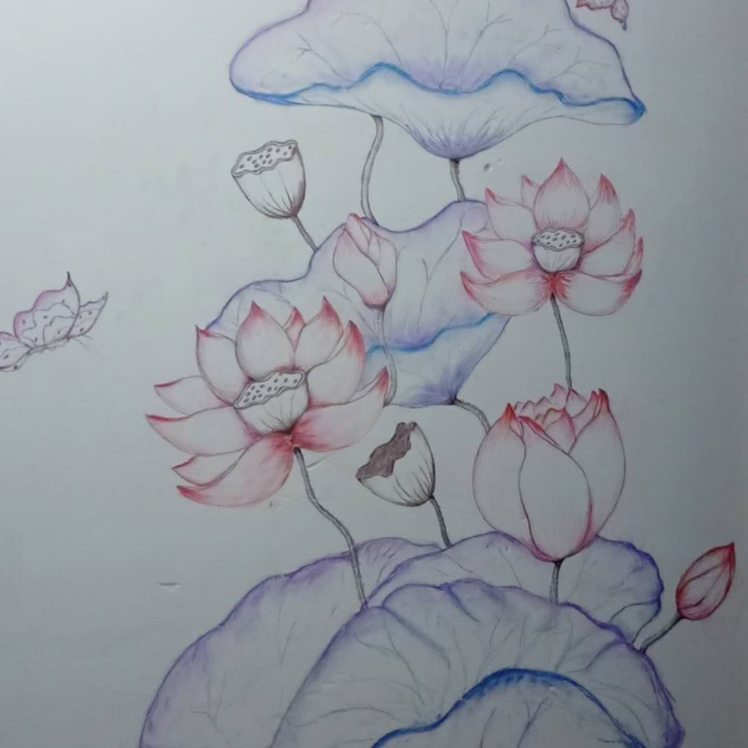 各种家装