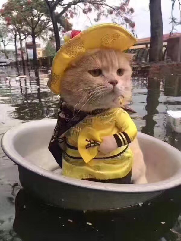 服务类
