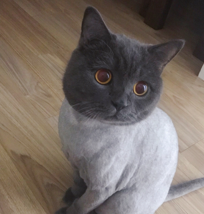 没有