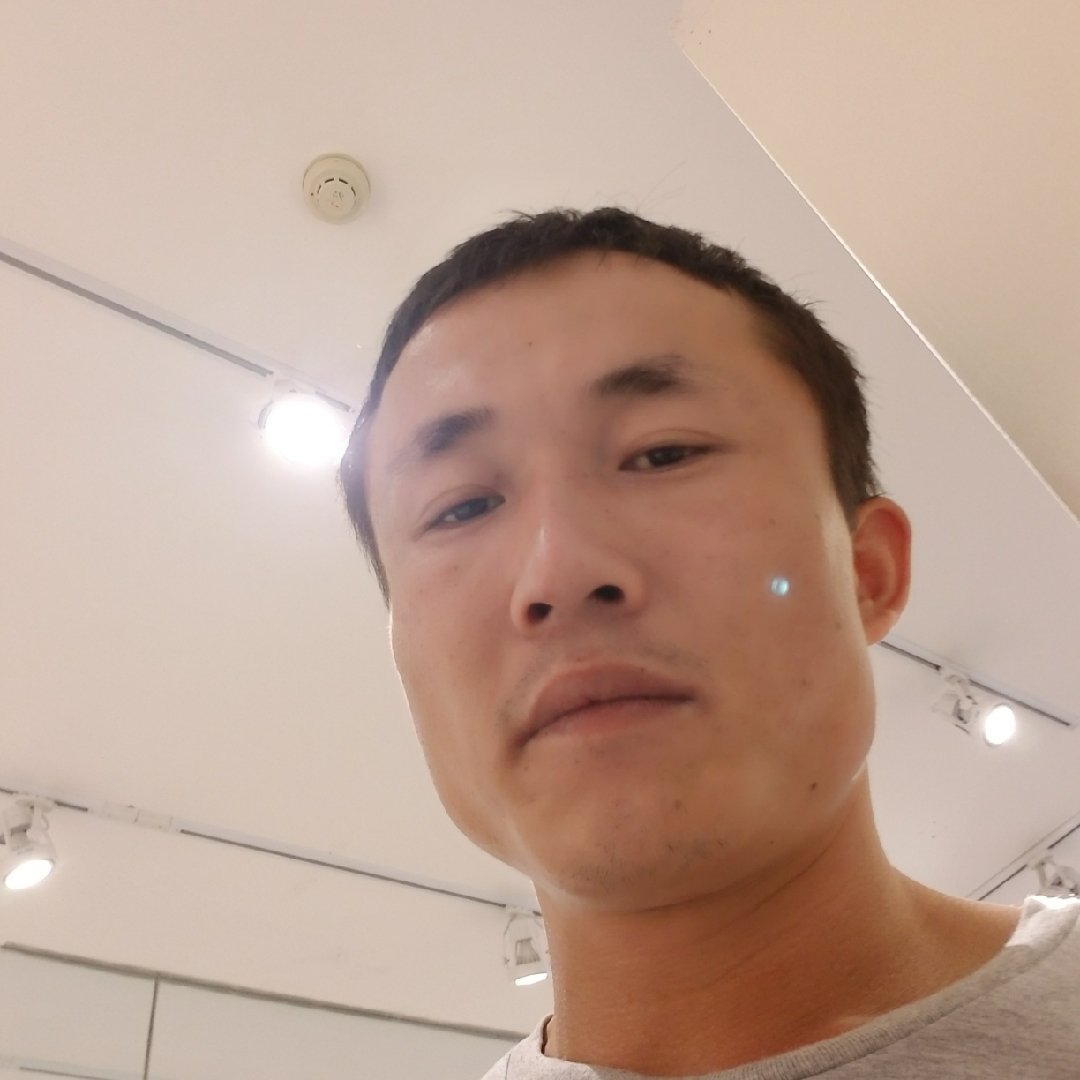 司机