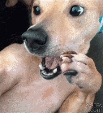 滴滴
