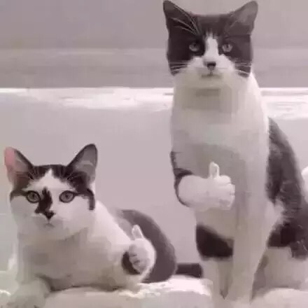 橱柜衣柜安装