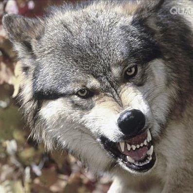 卫生间隔断工程项目